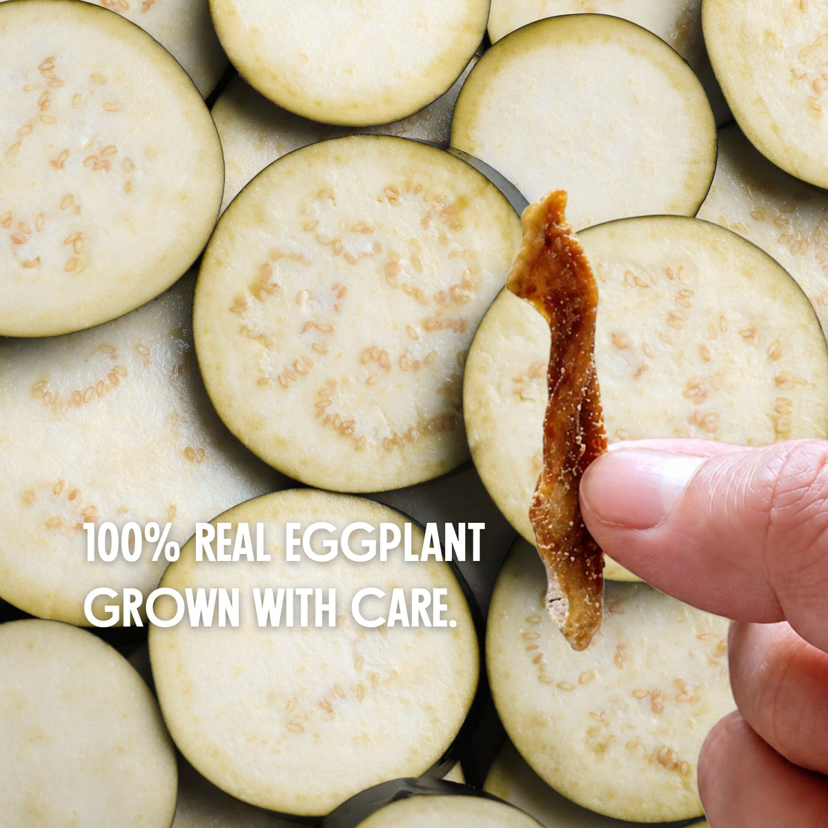 Spicy Dried Eggplant Snack Moonrisefoods