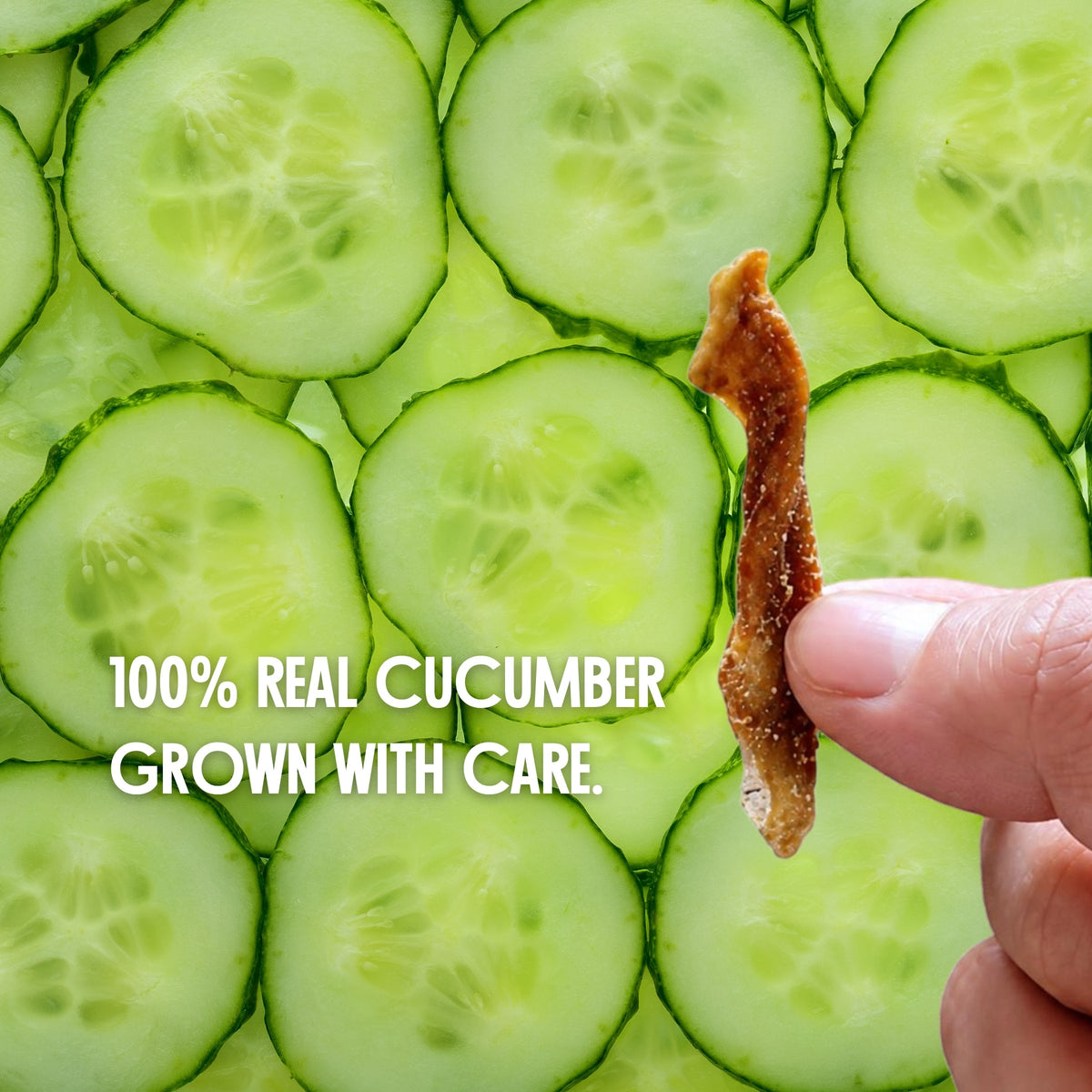 Spicy Dried Cucumber Moonrisefoods