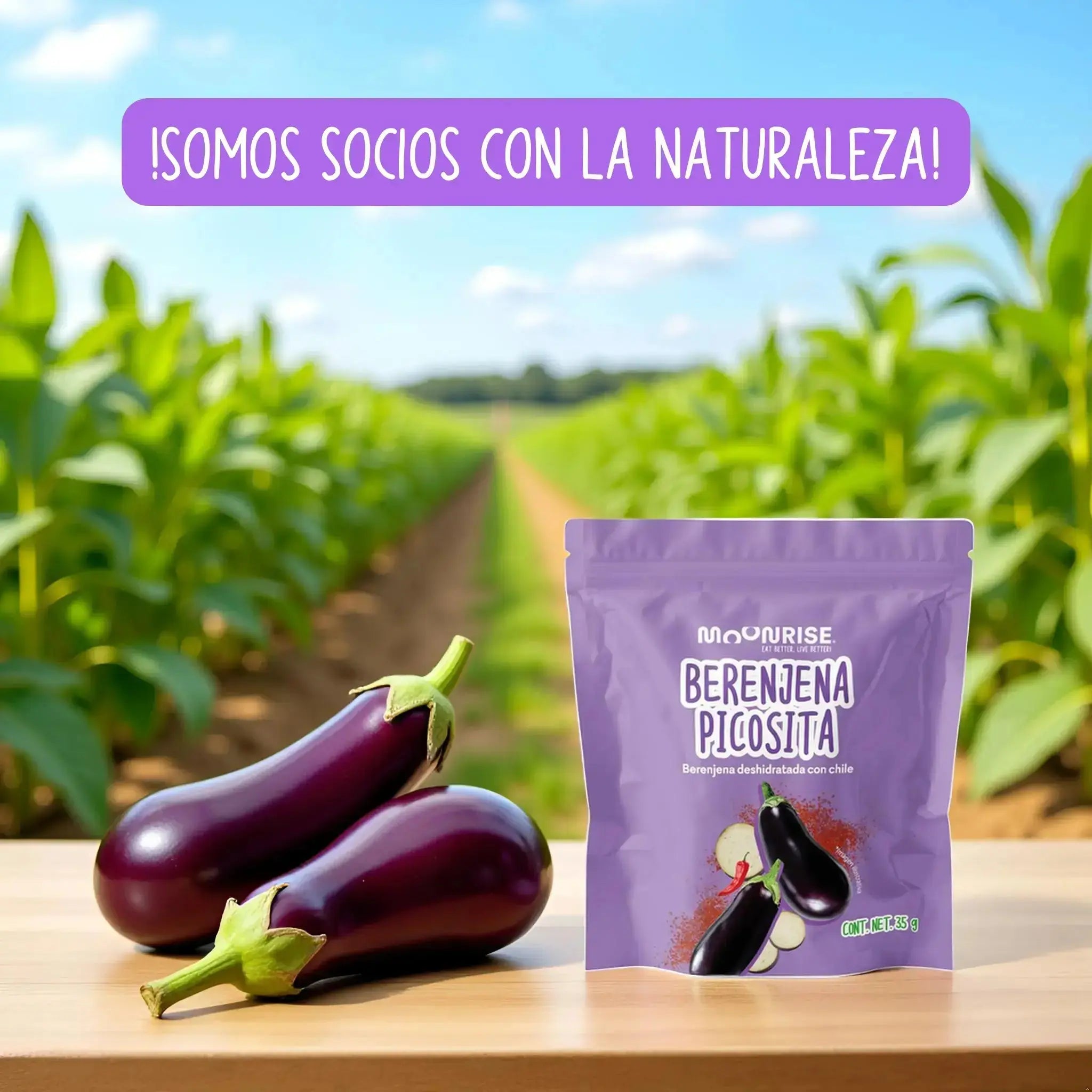 Berenjena Enchilada Deshidratada (Copia) (Copia) Moonrisefoods