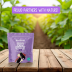 Spicy Dried Eggplant Snack Moonrisefoods